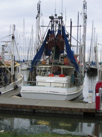 RedCliffe 2008