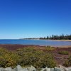 Settlement Cove Park - Redcliffe